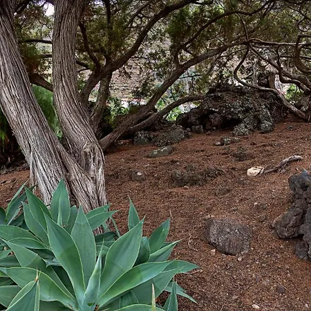 Villa Sabinas - El Guincho, Garachico Garachico (Tenerife)