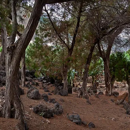 Villa Sabinas - El Guincho, Garachico