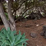 Villa Sabinas - El Guincho, Garachico (Tenerife)