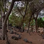 Villa Sabinas - El Guincho,