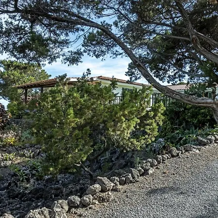 Sabinas - El Guincho, Villa Garachico (Tenerife)