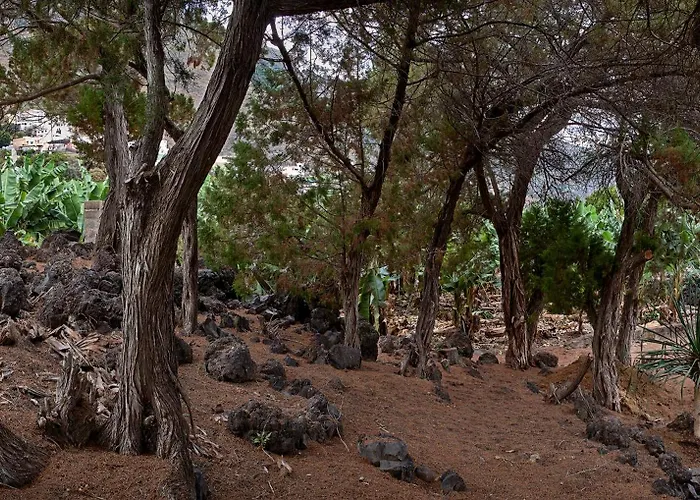 Villa Sabinas - El Guincho,